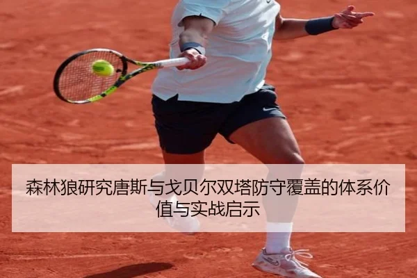 森林狼研究唐斯与戈贝尔双塔防守覆盖的体系价值与实战启示