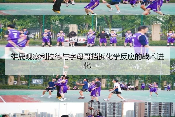 雄鹿观察利拉德与字母哥挡拆化学反应的战术进化